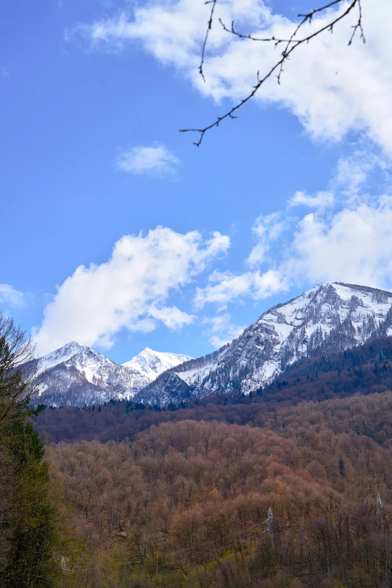 глэмпинг Дзен в Красной Поляне, фото территории и домиков